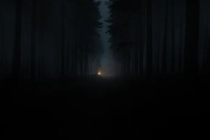silhouette of person standing on forest during night time